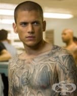 ����� �� ������ ���� �� ������ ����������� ������ ������������